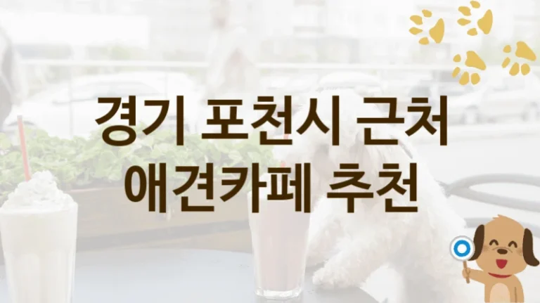 포천시 추천 댕댕이 애견카페 추천, 놀이터 및 입장 이용료