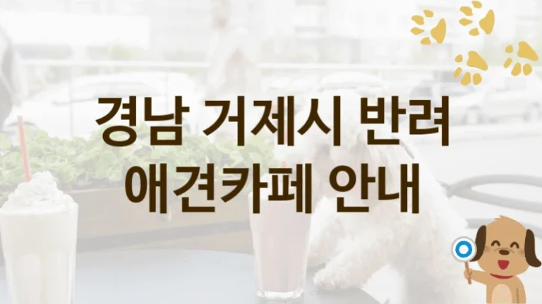경남 거제시 친절한 댕댕이 애견카페 놀이터추천, 가격