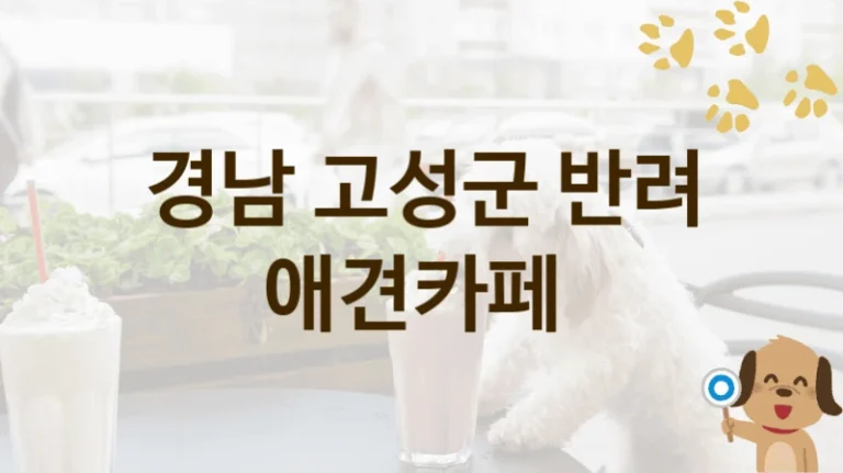 고성군 추천하는 강아지 애견카페 소개, 놀이터 및 입장 요금