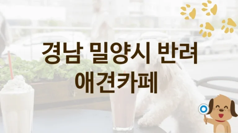경남 밀양시 반려견 전용 애견카페 TOP 추천, 입장료 및 이용 팁