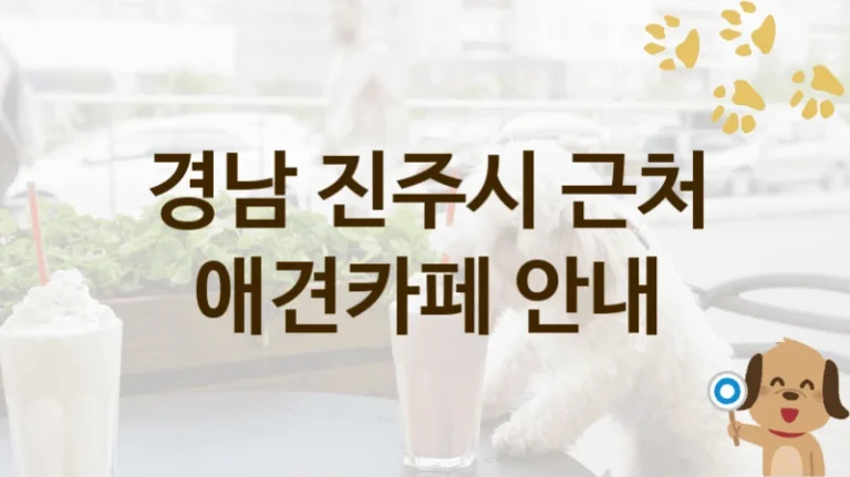 경남 진주시 강아지와 즐기는 애견카페 추천 명소, 비용 안내