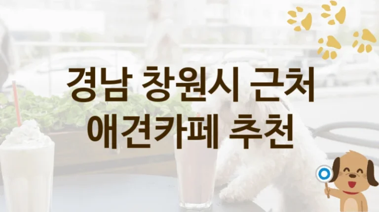 창원시 댕댕이 맞춤 애견카페 BEST, 놀이 공간 및 이용 요금