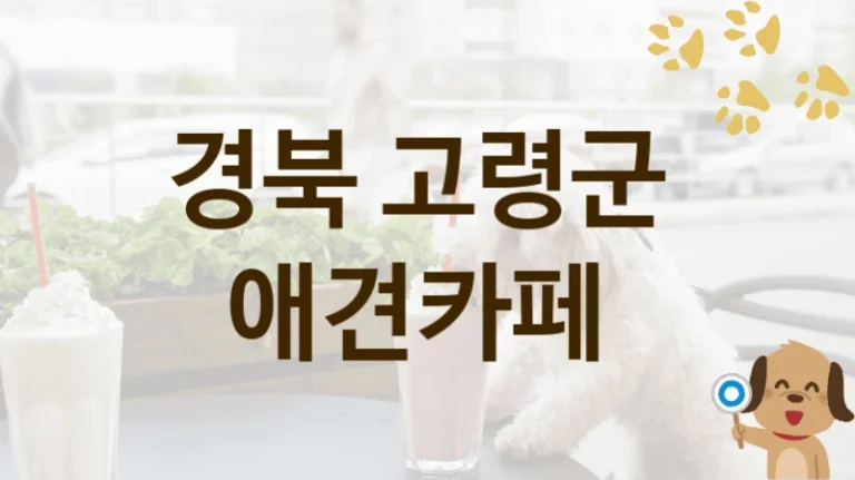 경북 고령군 후기 좋은 댕댕이 애견카페 놀이터안내, 놀이 공간 및 이용 요금