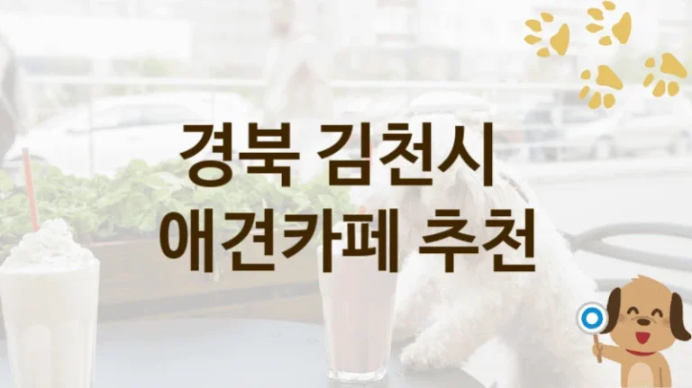 경북 김천시 반려견과 함께하는 애견카페 인기 리스트, 이용 가격