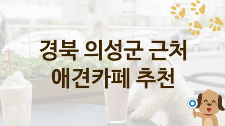 경북 의성군 반려견과 함께하는 애견카페 BEST 장소, 이용 가격
