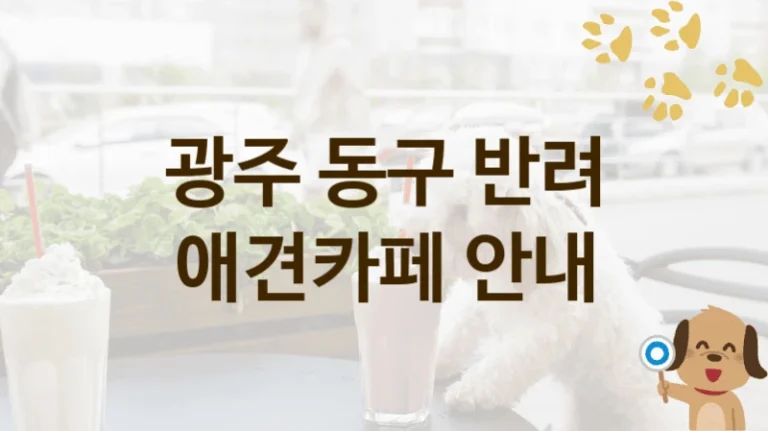 광주 동구 강아지와 즐기는 애견카페 BEST 리스트, 이용 가격