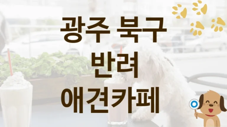 북구 강아지와 함께 갈만한 애견카페 추천 리스트, 놀이 공간 및 이용 요금