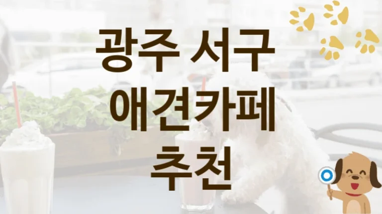 광주 서구 댕댕이와 힐링할 애견카페 인기 명소, 비용 안내