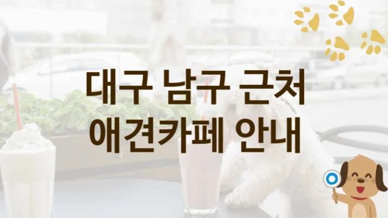 대구 남구 친절한 반려견 애견카페 안내, 가격