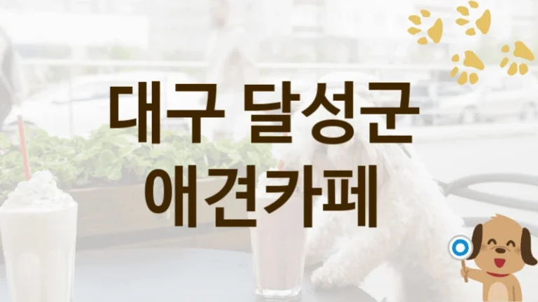 달성군 추천 댕댕이 애견카페 안내, 놀이터 및 입장 서비스 비용