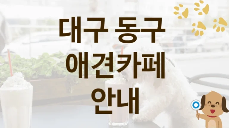 동구 추천 댕댕이 애견카페 소개, 입장 비용