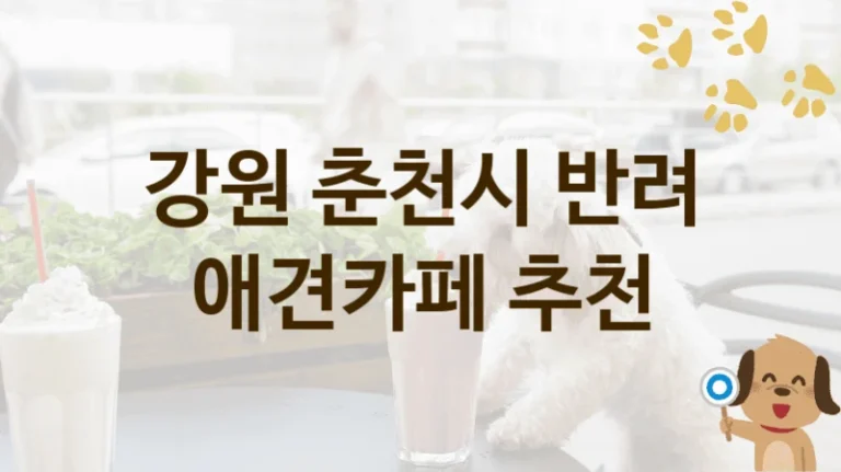 강원 춘천시 강아지와 즐기는 애견카페 인기 명소, 이용 가격