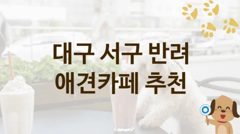 서구 추천하는 강아지 애견카페 안내, 놀이터 및 입장 요금