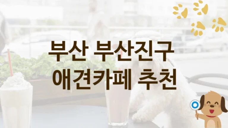 부산 부산진구 반려견과 함께하는 애견카페 추천 리스트, 비용 안내