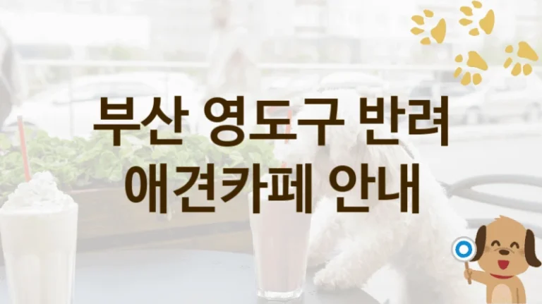 부산 영도구 반려견 전용 애견카페 TOP 추천, 비용 및 운영 정보