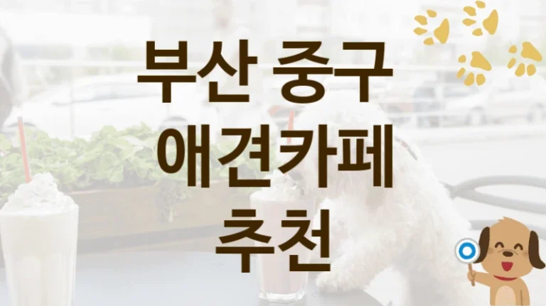 부산 중구 실내·야외 겸비 애견카페 TOP 추천, 비용 및 운영 정보