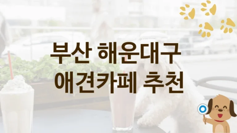 해운대구 추천 댕댕이 애견카페 추천, 놀이터 및 입장 서비스 비용