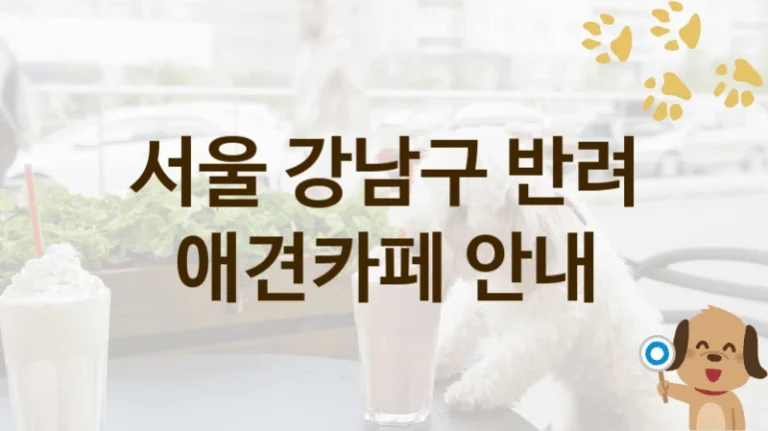 서울 강남구 강아지 애견카페  추천, 이용 가격