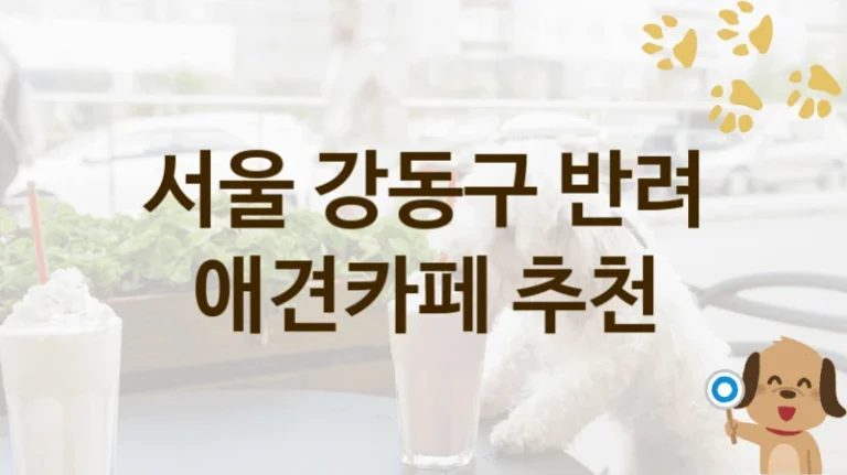 서울 강동구 반려견 전용 애견카페 인기 명소, 입장료 및 이용 팁