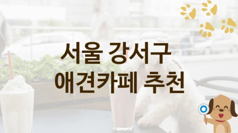 서울 강서구 댕댕이와 힐링할 애견카페 추천 명소, 이용 가격