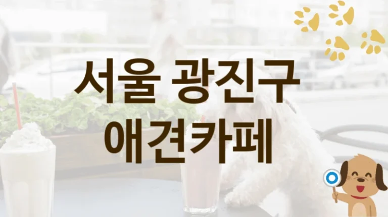 서울 광진구 반려견 전용 애견카페 인기 명소, 입장료 및 이용 팁