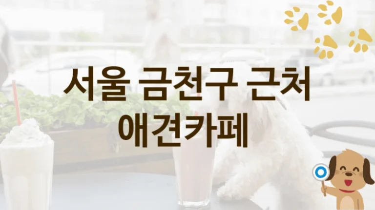 서울 금천구 평가좋은 댕댕이 애견카페 놀이터추천, 비용 및 운영 정보