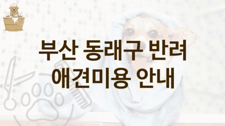 부산 동래구 세심한 관리 애견미용 미용샵 안내, 서비스 항목별 비용