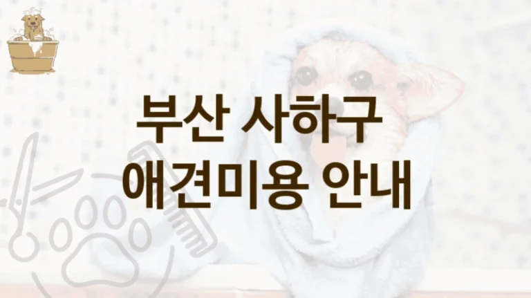 부산 사하구 경력 많은 디자이너 제공하는 애견미용 업체 정보 및 비용 안내