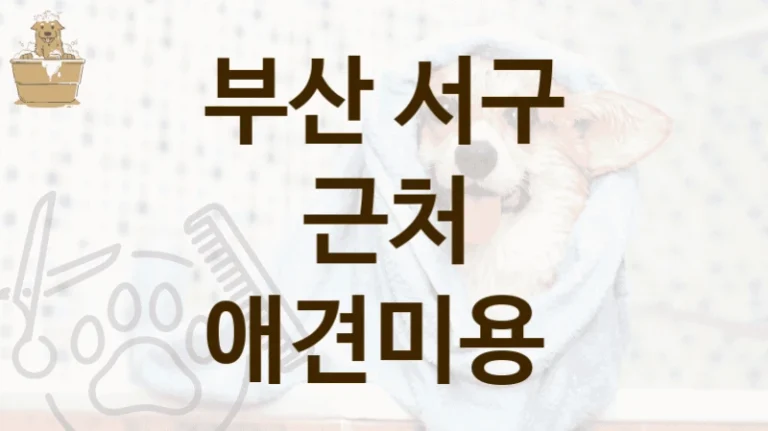 부산 서구 위생 관리 철저 애견미용 살롱 추천, 이용 가격
