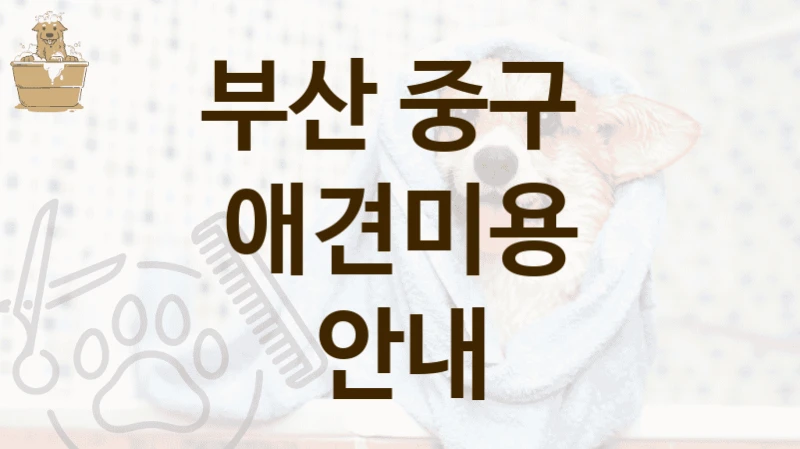 부산 중구 반려견 맞춤형 케어 제공하는 애견미용 추천 샵 및 가격 정보