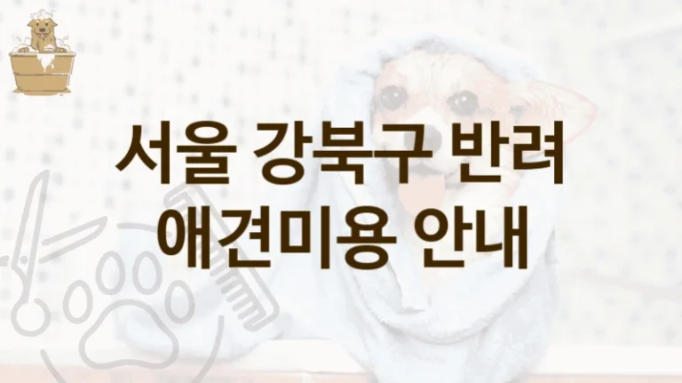 강북구 반려견 맞춤 애견미용 미용 서비스 추천 리스트, 가격 및 이용 정보