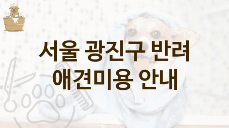 광진구 펫 전용 위생 케어 애견미용 미용 서비스 추천 및 이용 요금 안내
