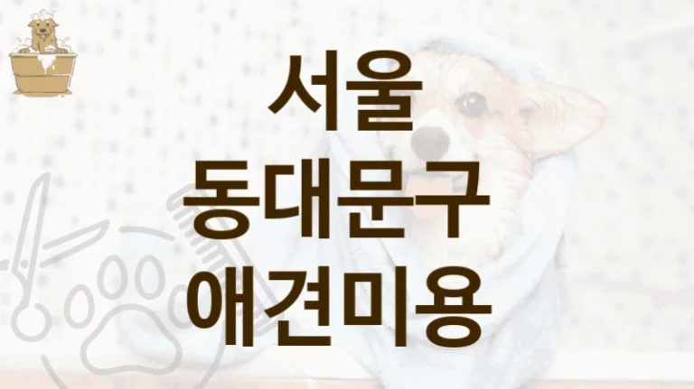 서울 동대문구 반려견 맞춤형 케어 제공하는 애견미용 추천 샵 및 비용 안내
