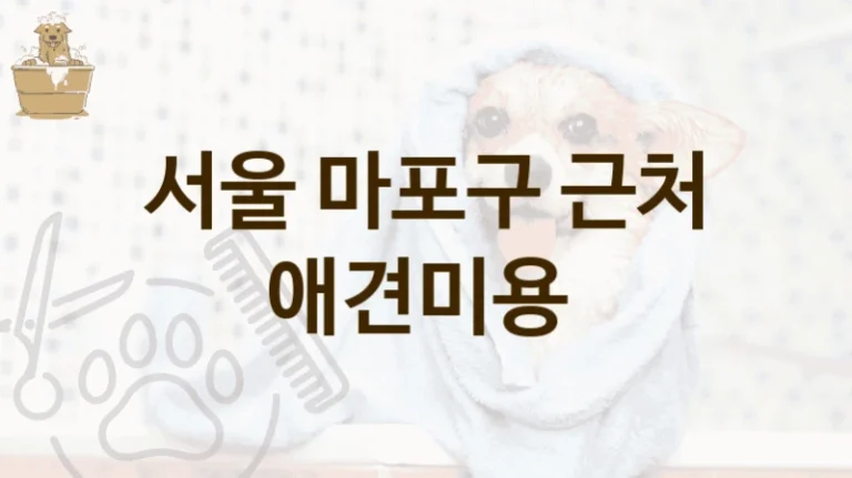 서울 마포구 자연친화적 애견미용 샵 추천, 비용 및 후기