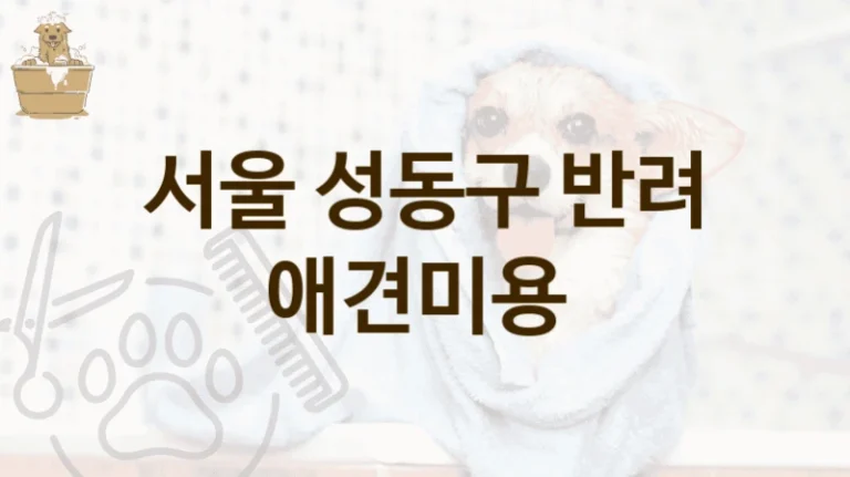 서울 성동구 반려견 애견미용 미용실 소개, 미용비용 총정리