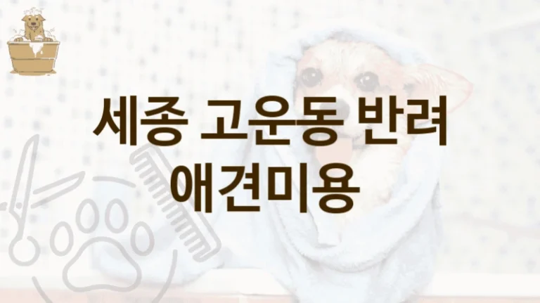 세종 고운동 후기 좋은 댕댕이 애견미용 미용샵 추천, 미용 요금 안내