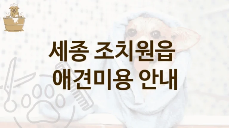 조치원읍 프리미엄 애견미용 미용업체 TOP10, 미용비 정리