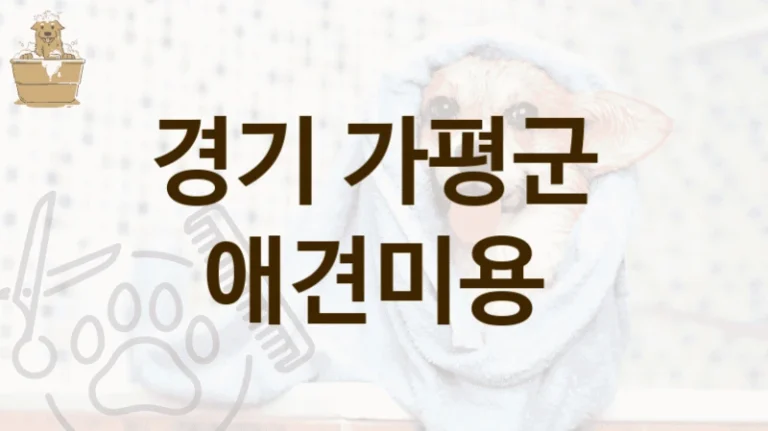 경기 가평군 반려견 애견미용 미용실 추천, 미용비용 총정리