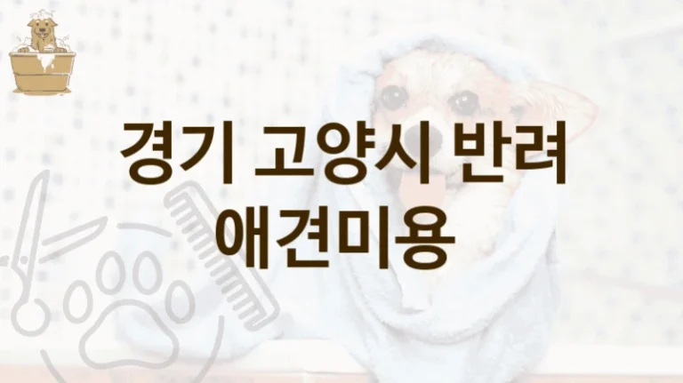 경기 고양시 모든 견종 맞춤 애견미용 업체 추천 정보, 비용 및 운영 정보
