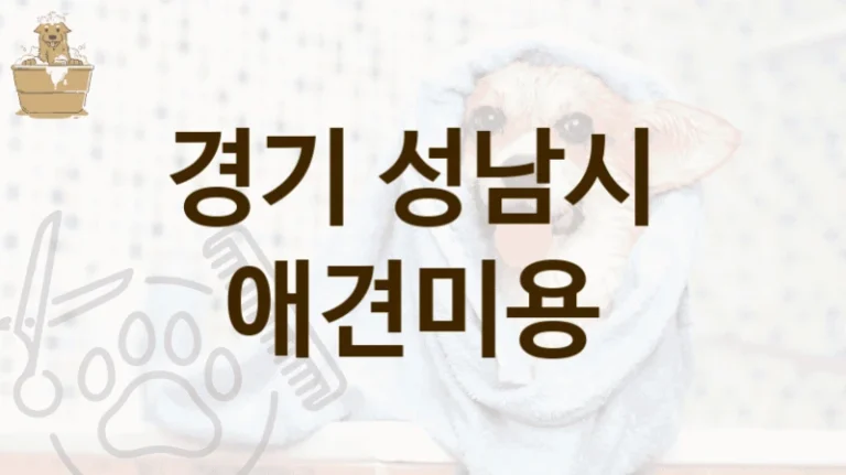 경기 성남시 댕댕이 애견미용 미용샵 안내, 미용비용 총정리