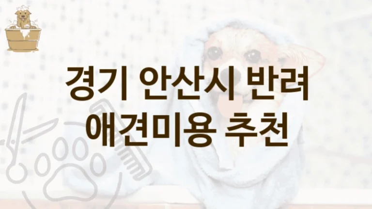 경기 안산시 댕댕이 애견미용 펫살롱 추천, 미용비용 총정리