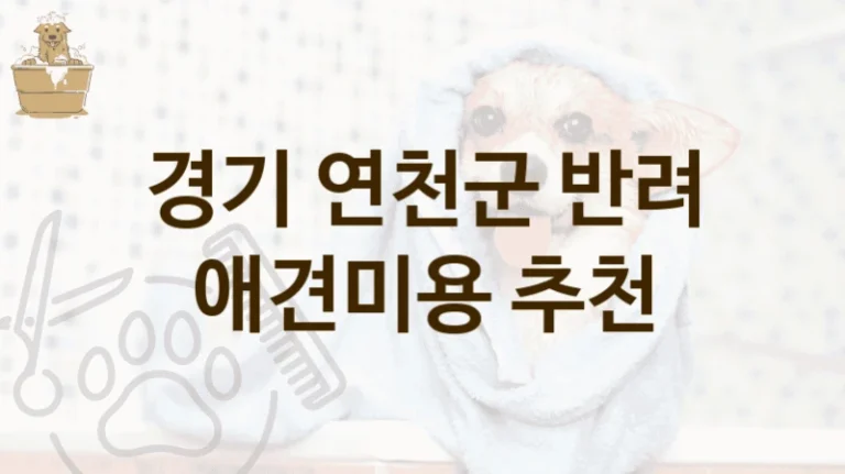 경기 연천군 댕댕이 애견미용 미용실 소개, 서비스 요금 총정리