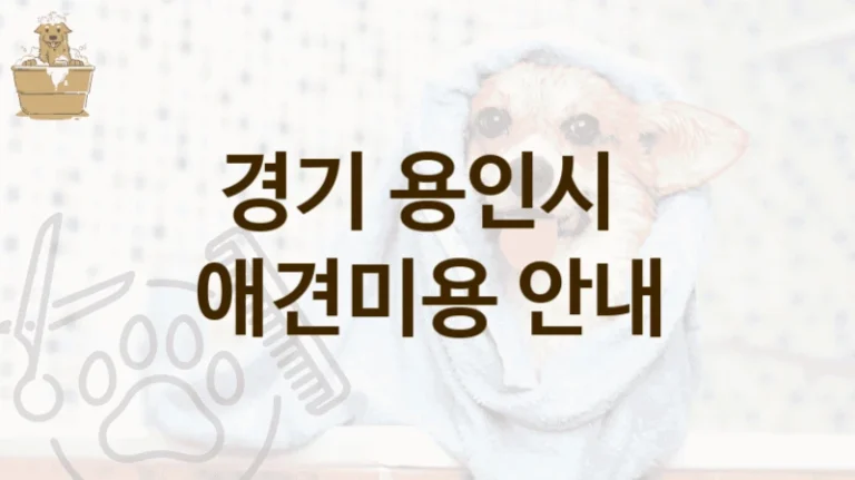 용인시 펫 전용 위생 케어 애견미용 미용 서비스 추천 및 이용 요금 안내