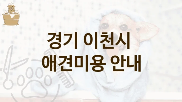 경기 이천시 후기 좋은 댕댕이 애견미용 미용샵 소개, 서비스별 가격표