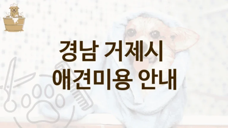 거제시 강아지 전용 애견미용 미용업체 후기 좋은 곳, 비용 안내