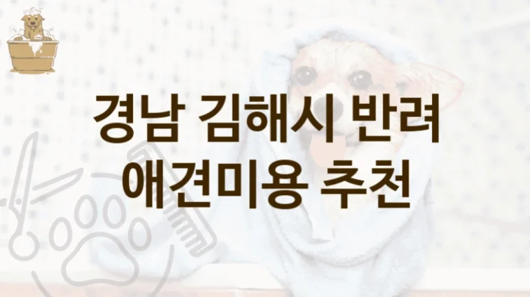 김해시 강아지 전용 애견미용 미용업체 추천 리스트, 비용 안내