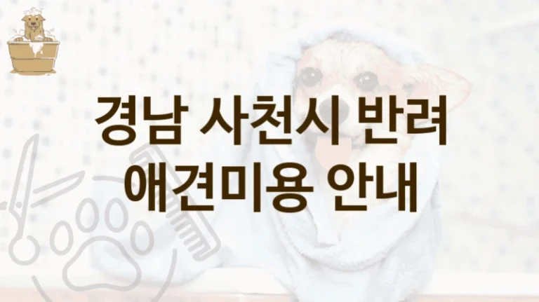 사천시 프리미엄 애견미용 미용 서비스 TOP10, 비용 안내