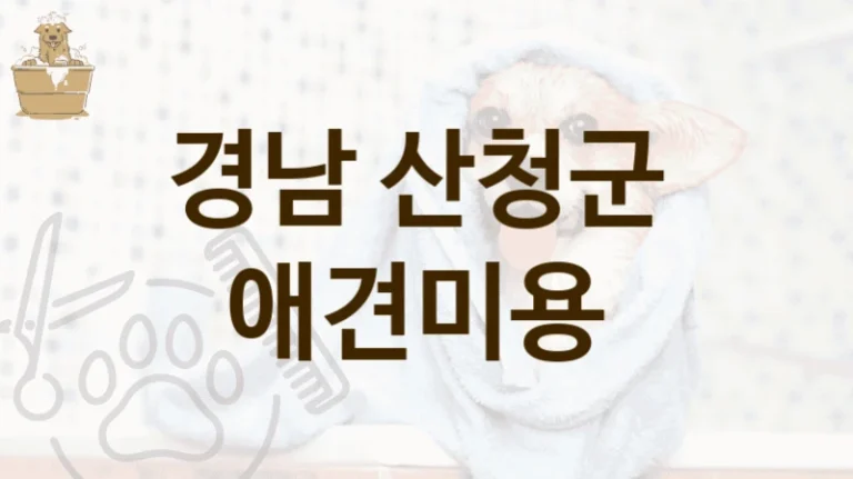 산청군 반려견 맞춤 애견미용 미용 서비스 추천 리스트, 가격 및 이용 정보