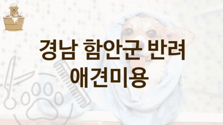 경남 함안군 후기 좋은 반려견 애견미용 미용샵 소개, 미용 요금 안내