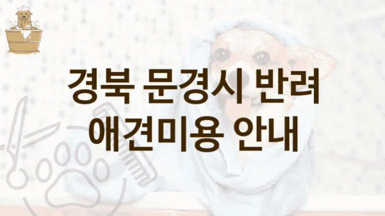 문경시 펫 전용 위생 케어 애견미용 미용 서비스 추천 및 이용 요금 안내